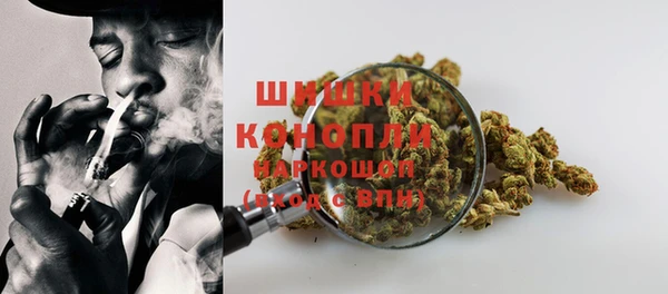 шишки Алексин