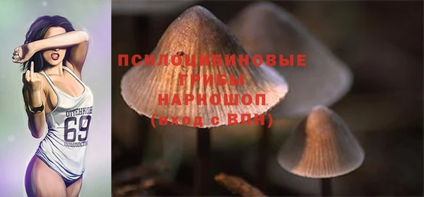 ПСИЛОЦИБИНОВЫЕ ГРИБЫ Алексеевка