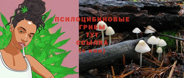 шишки Алексин