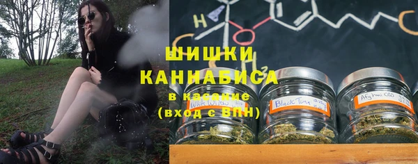 шишки Алексин