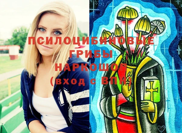 ПСИЛОЦИБИНОВЫЕ ГРИБЫ Алексеевка