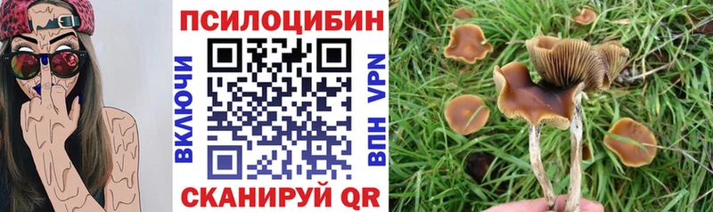 Псилоцибиновые грибы прущие грибы  Глазов 