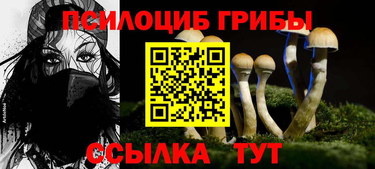 Глазов  Псилоцибиновые грибы GOLDEN TEACHER  Псилоцибиновые грибы Magic Shrooms  Вход с VPN 